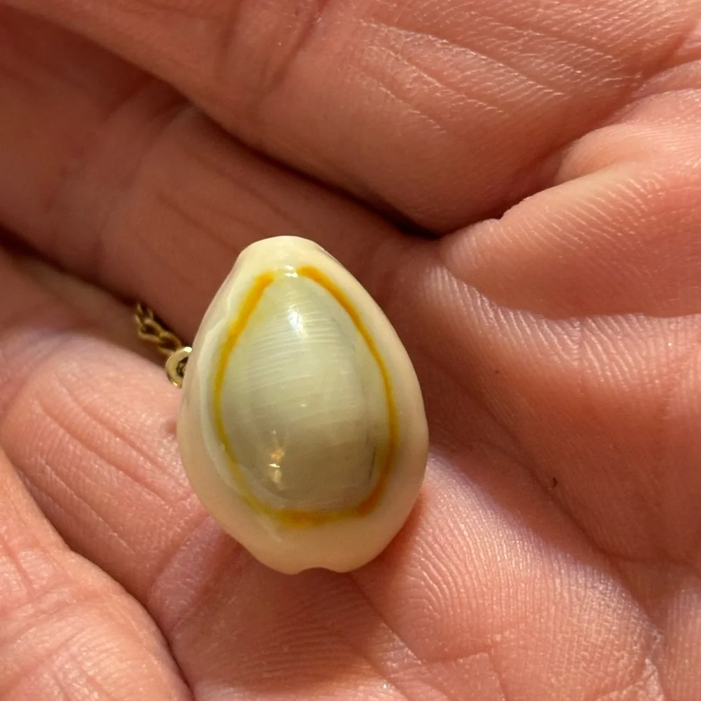 Vintage Cowrie Shell Cuff Links